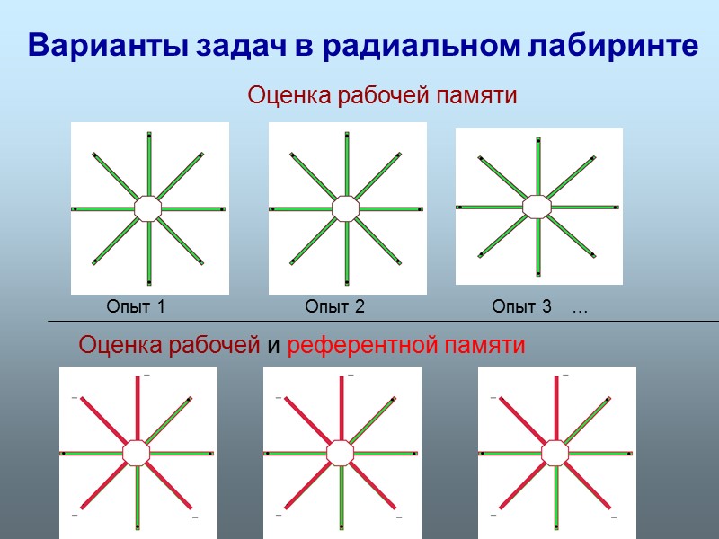 Оценка рабочей памяти Оценка рабочей и референтной памяти Варианты задач в радиальном лабиринте Опыт
